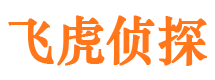 琼中市调查公司